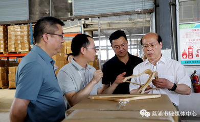 荔浦市&ldquo;中国衣架之都&rdquo;称号通过专家_荔浦新闻